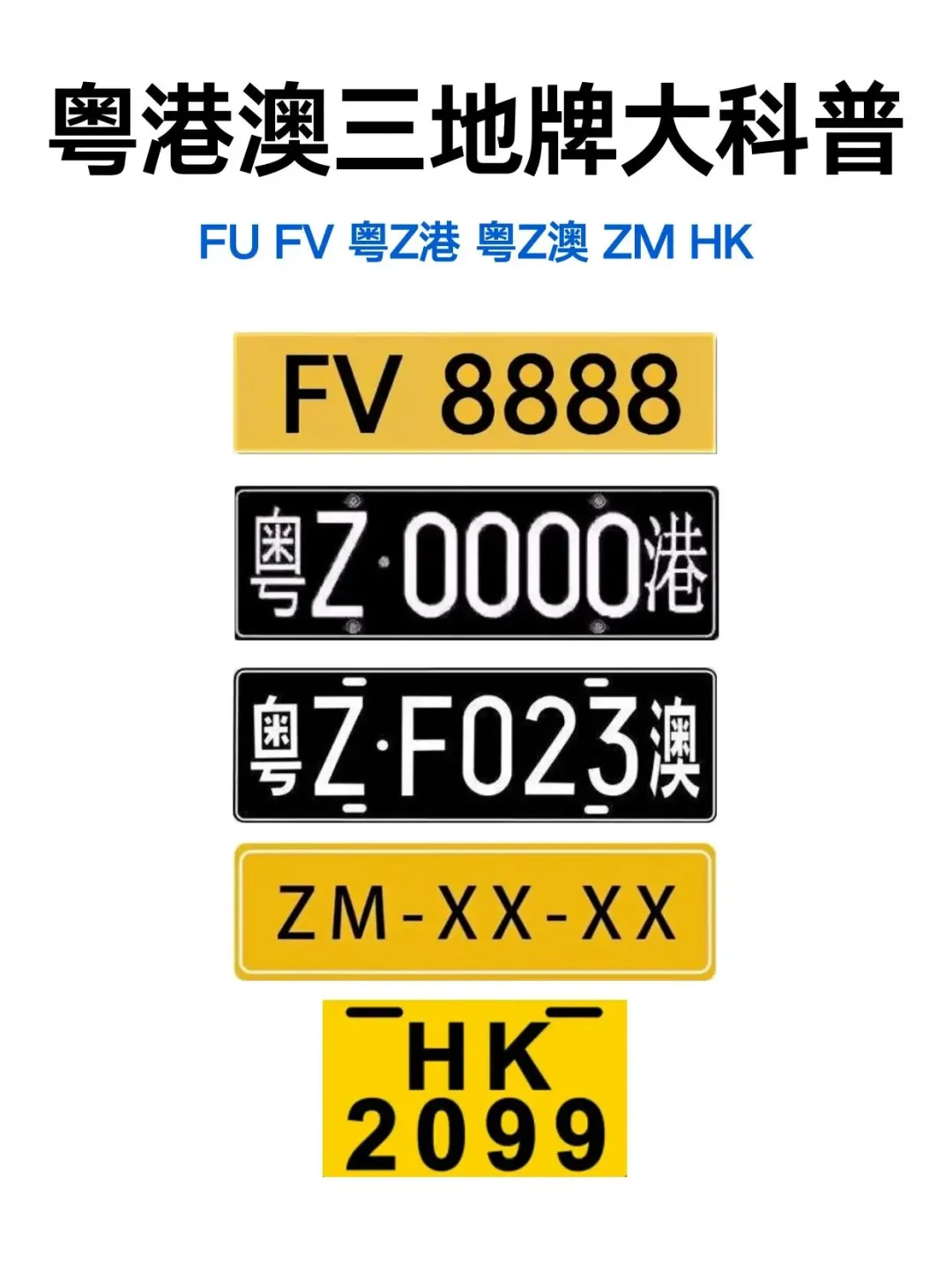 粤港两地车牌（FV和粤Z）是粤港澳大湾区融合的独特标识